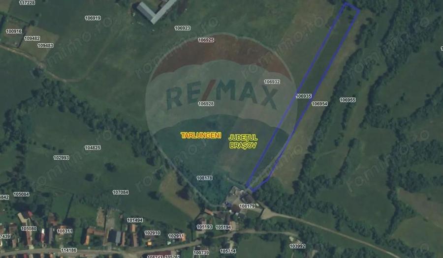 Teren 5.800 mp Purcareni curent, gaz, apa / Strada 30 decembrie - 2