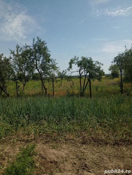 vanzare casa la ?ara - 3