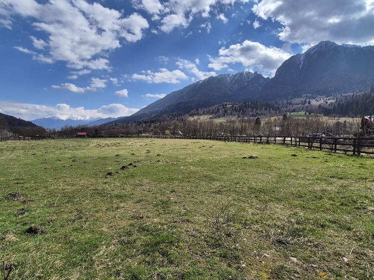 Teren superb intravilan 1200 mp, Plaiul Foii, vedere la munte - 5