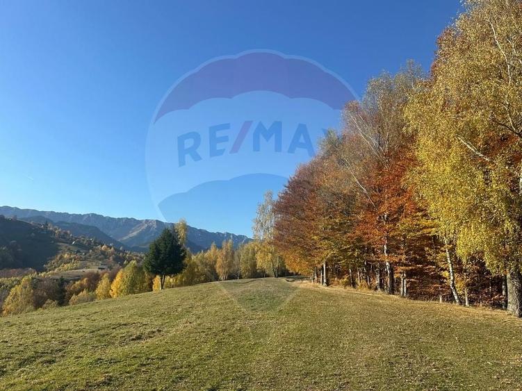 Oportunitate de investiție ! Teren de vis în Pestera - 125.370 mp - 14