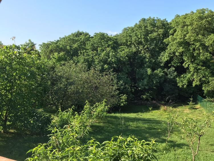 Vand sau schimb casa 4 camere cu 2600 mp teren, Central, Reghin, Mures - 5