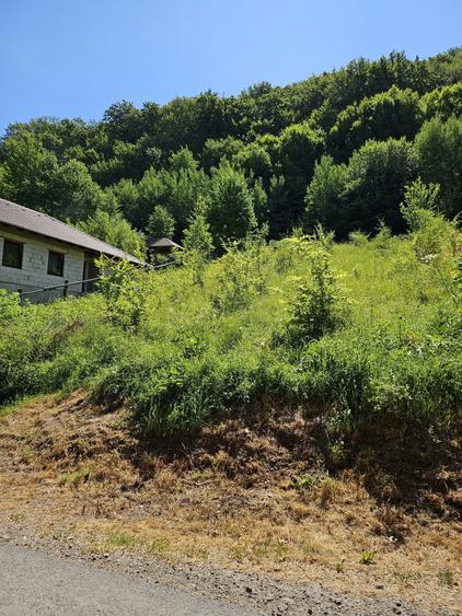 Teren intravilan Sovata Bai 3533 mp - 4