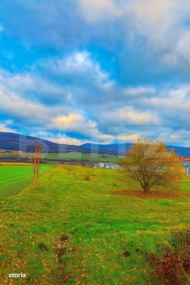 Teren de vanzare 76 ari, front 11,5 m, la drumul european - 1