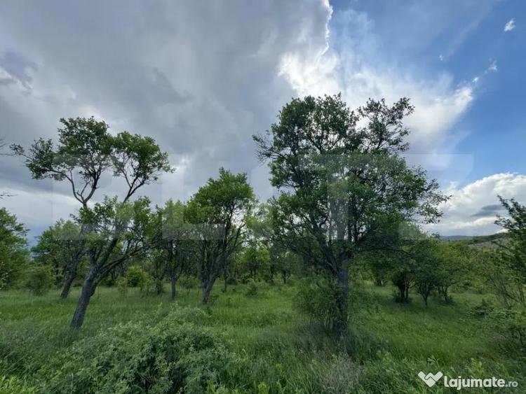 Teren extravilan de vanzare, 5305 mp, in apropiere de Ha?eg - 1