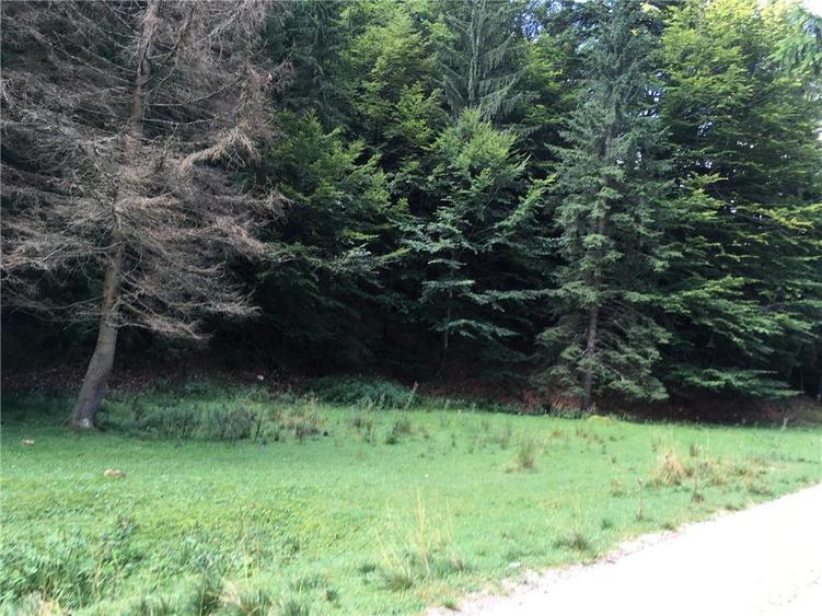 Teren casuta de vacanta Chirusca (Pirusca) la poalele muntelui Ciucas - 3