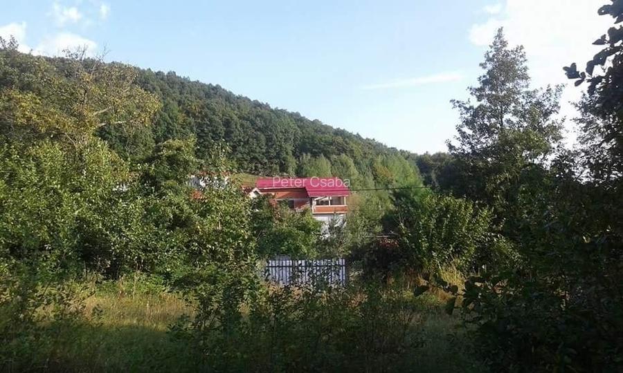 Teren de vanzare, ideal pentru Casa de vacanta/Hotel