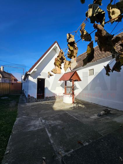 3 Corpuri noi casa, Hala Productie, Curte, Acces auto, Cristian |VIDEO - 51