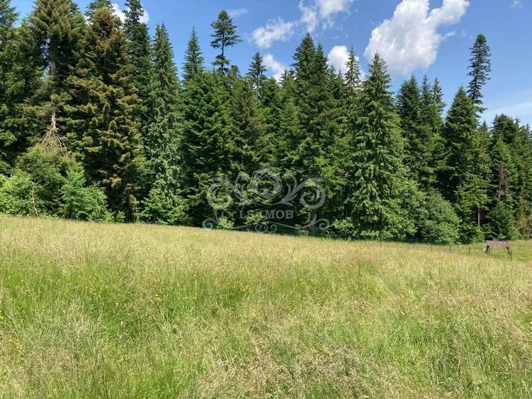 Vand teren intravilan Predeal, Timisul de Sus ideal obiective turistice - 5