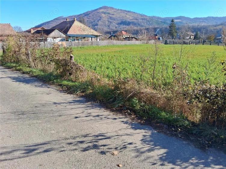 Teren intravilan Stejaru, 1700mp - 4