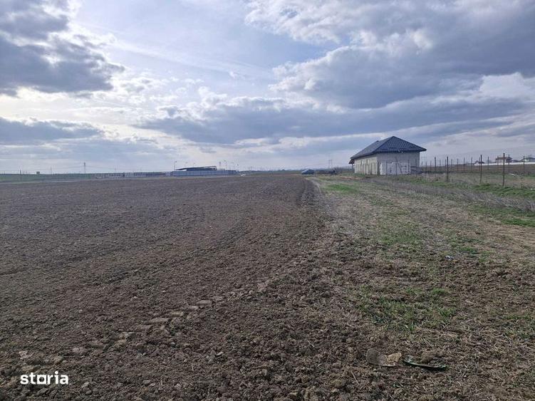 Teren intravilan Balaceanca - 3