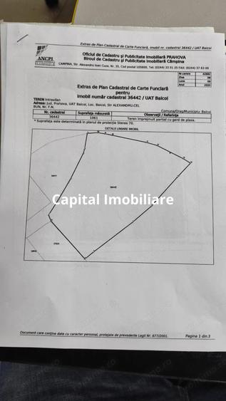 Teren Intravilan Baicoi 1061 mp - 5