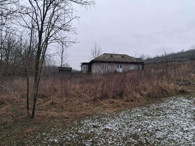 2 terenuri si casa de vanzare - 12