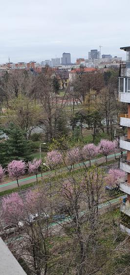 Un apartament spatios, decomandat langa Parcul Copiilor - 1