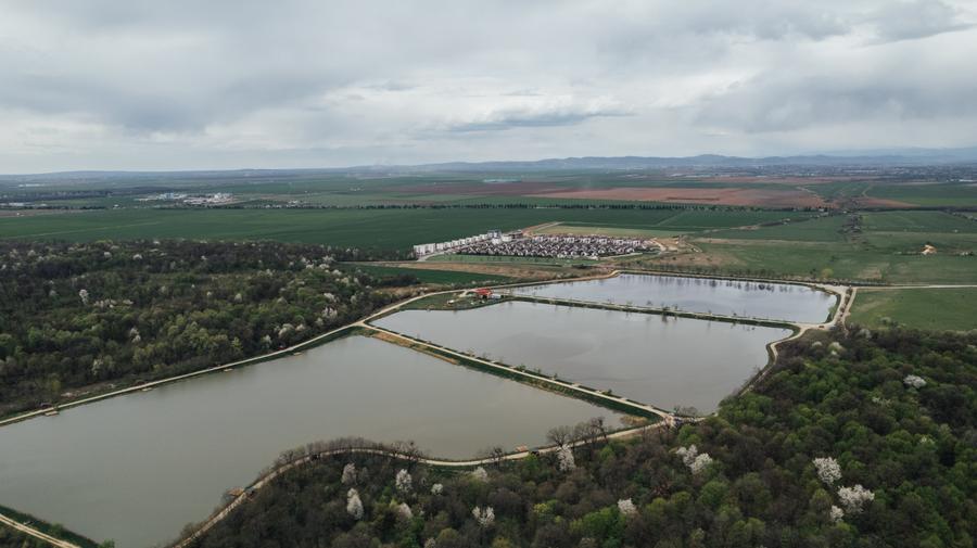 VANZARE VILA   Parter cu TEREN 500  MP CARTIER MAGNOLIA VILLAGE - 2