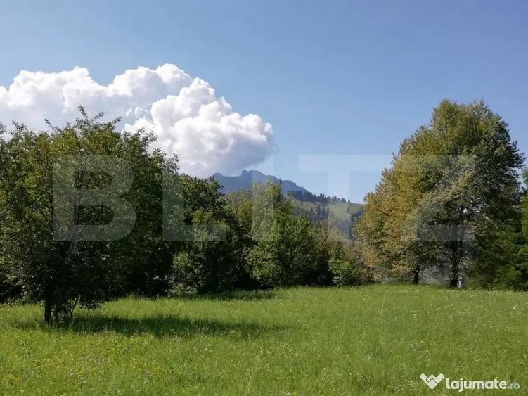 Teren 2500 mp, la strada, Ceahlau,, locatie perfecta - 2