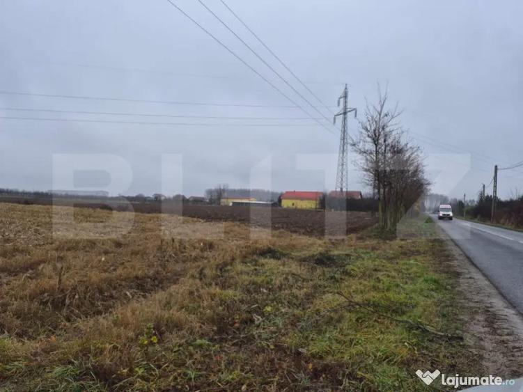 Teren intravilan de vanzare, 2.500 mp, Str Gorunului, zona A - 1