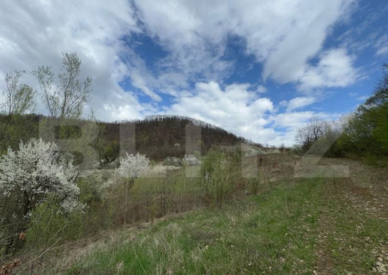 Vand 17 ha teren extravilan, Carmazanesti - 3