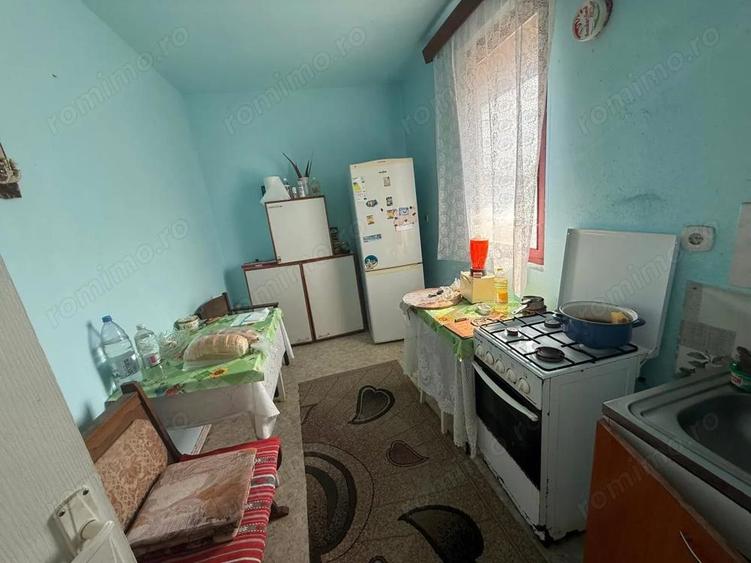 De vanzare casa in Cruceni- 728 - 5