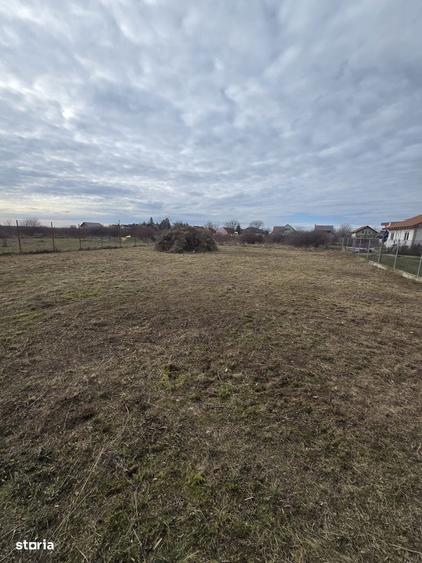 Loc de casa 500 mp, F.S. 20 ml, loc. Bodrogu Nou (com. Zadareni) - 2