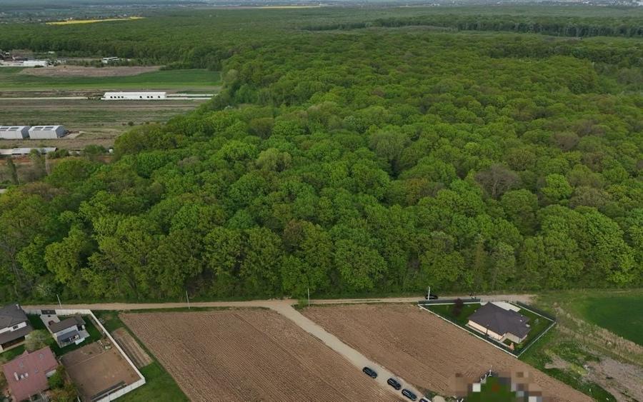 Teren cu utilitati si acces la Padurea Snagov, la 300m Penny si Mega - 6