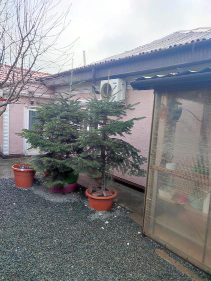 Casa 2 camere - zona Palas - 90.800 euro (Cod E2+E7) - 19