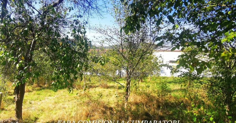 VLADESTI - TEREN 1174 MP - 10