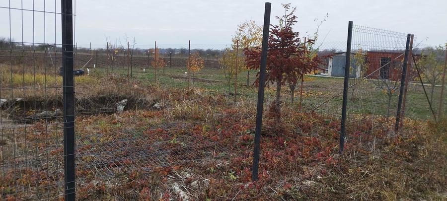 Teren de vanzare - 6