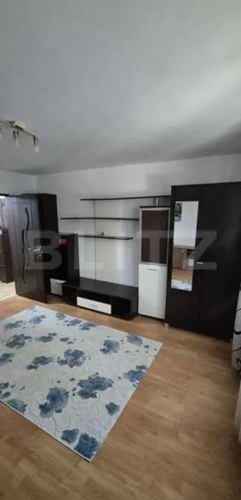 Garsoniera, 33mp, etaj intermediar,cartier Burdujeni - 1