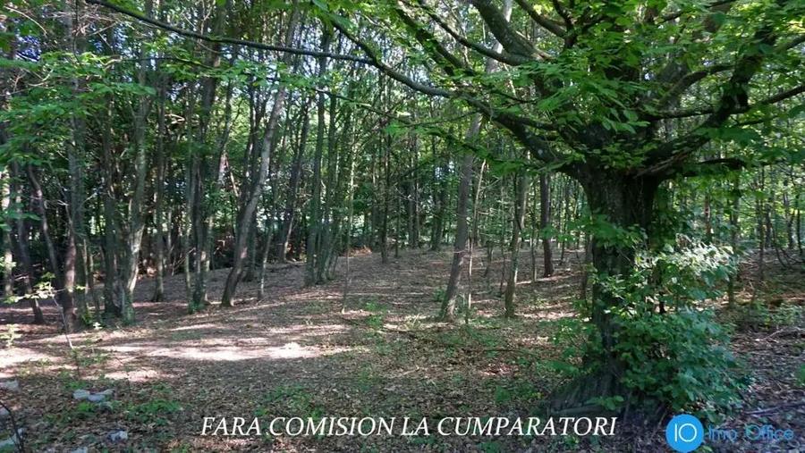 TEREN 6700 MP, INTRAVILAN LANGA PADURE - 9