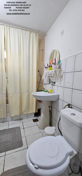 Proprietate in intravilanul mun.Piatra Neamt, zona Cindia - 11