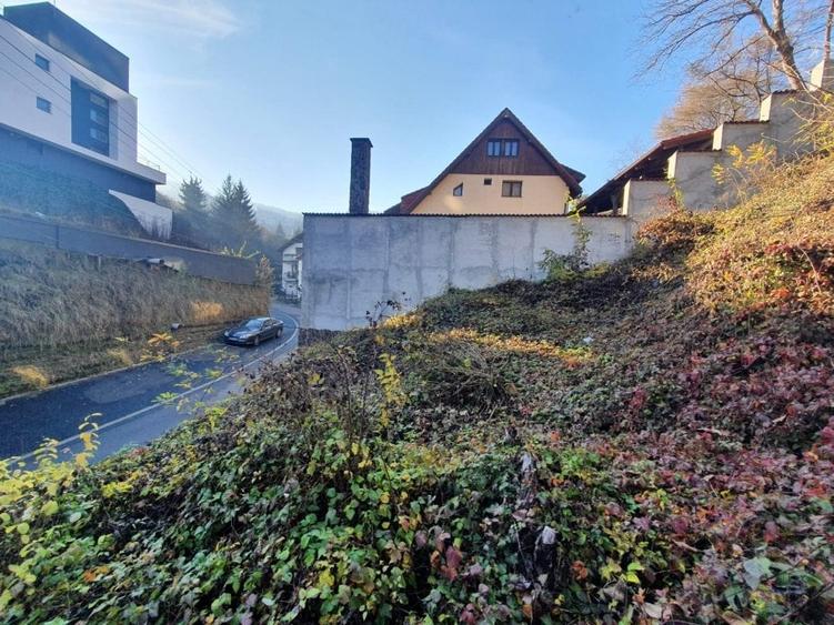 ZONA DEOSEBITA CU MULTA VERDEATA - 1