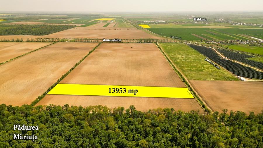 Teren intravilan 13953 mp Răcari lângă Pădurea Măriuța - oportunitate investiție - 2