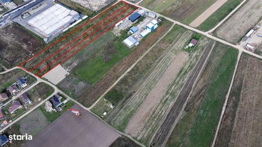 Teren intravilan industrial Osorhei - 4