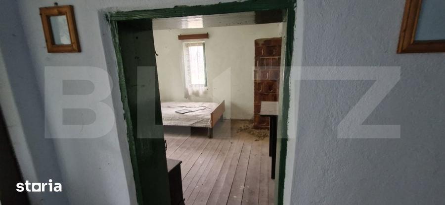 DOMENIU POLIVALENT: Ideal pentru 2 Familii sau Afacere La Cheie | T - 6