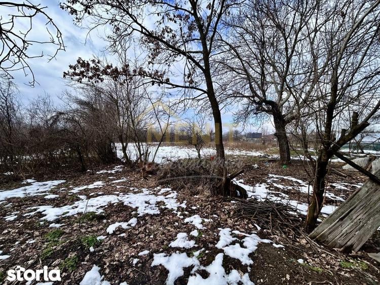 Casa 5 camere, cu 5.900MP curte + Livada, Darmanesti, Dambovita - 2