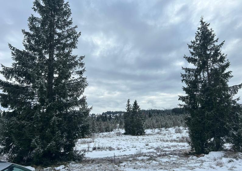 Teren Belis 1000mp - 12