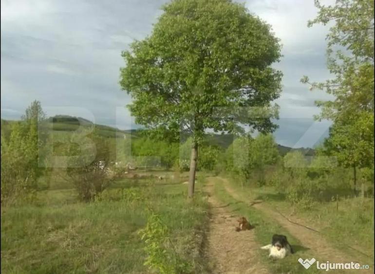 Teren extravilan 77.700 mp ideal investi?ie sau dezvoltare - 3