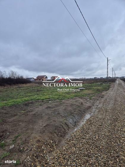 NECTORA IMOB-Teren Intravilan 501 mp, cu front 19ml, Nojorid,Utilitati - 5