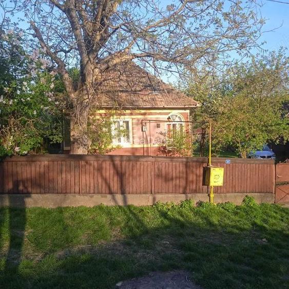 Vand casa in Visinelu cu 14 arii gradina Vand casa in Visinelu cu 14 arii gradina