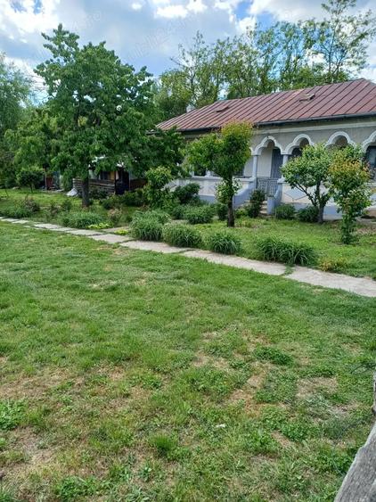 Casa Crevedia Mare Giurgiu - 7