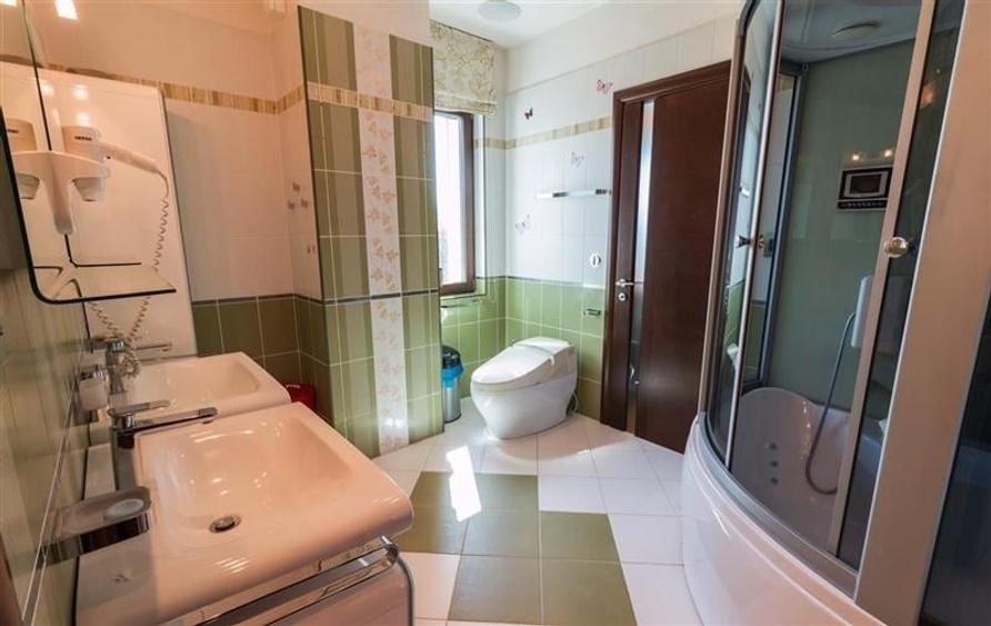 Penthouse spectaculos cu vedere catre parc - 28