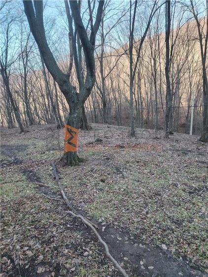 Teren intravilan zona Monteoru - 5