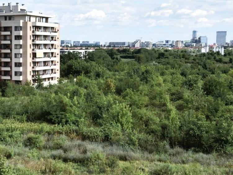 Apartament 2 camere splendid transformat din 3 camere, Baneasa Natura Residence - 14