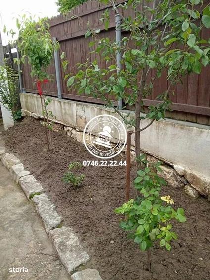 Casa 4 camere , 260 mp teren ,zona Ticau - Iasi - 2