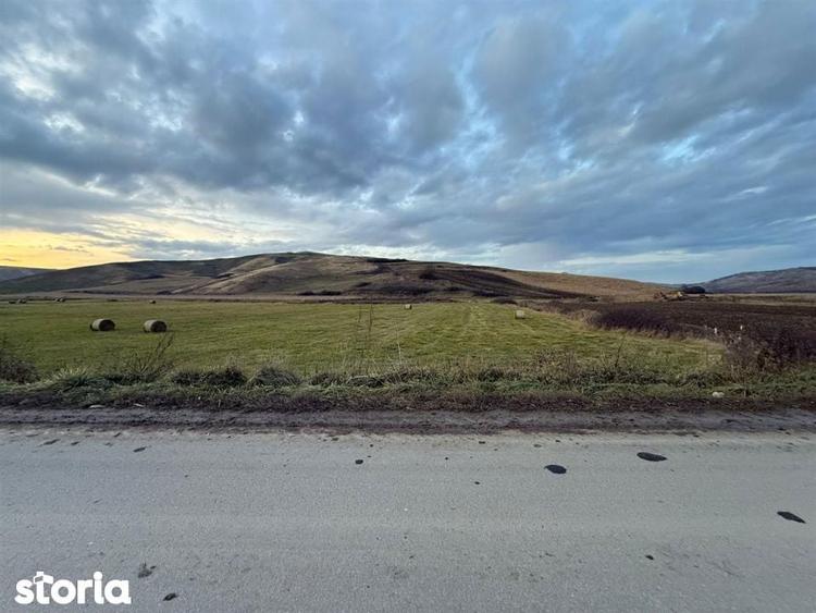 Teren Extravilan I 6000 Mp I Acces la drum | Cojocna - 6