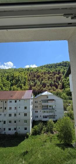 Apartament cu 2 camere de vanzare in Azuga - 17