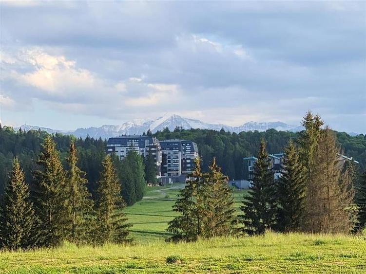 Imobil Clasa Lux, rezidential si/sau  investitional, purtator profit, Poiana Bra - 15