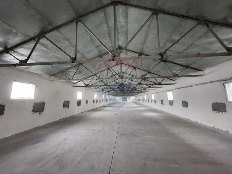 Hala depozitare sau productie Ciorogarla | Darvari 2.8 E/mp - 8