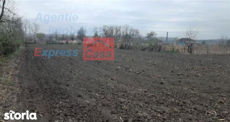 Teren de vanzare 3000 mp, Prisacani (27 km de IASI) - 3