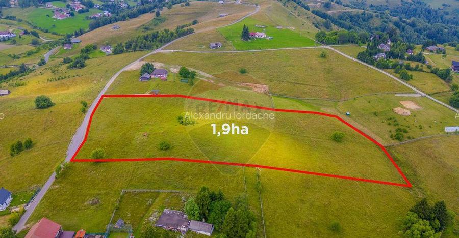 COMISION 0% Teren 19.300 mp/?irnea/ Oportunitate de inve... COMISION 0% Teren 19.300 mp/?irnea/ Oportunitate de inve...